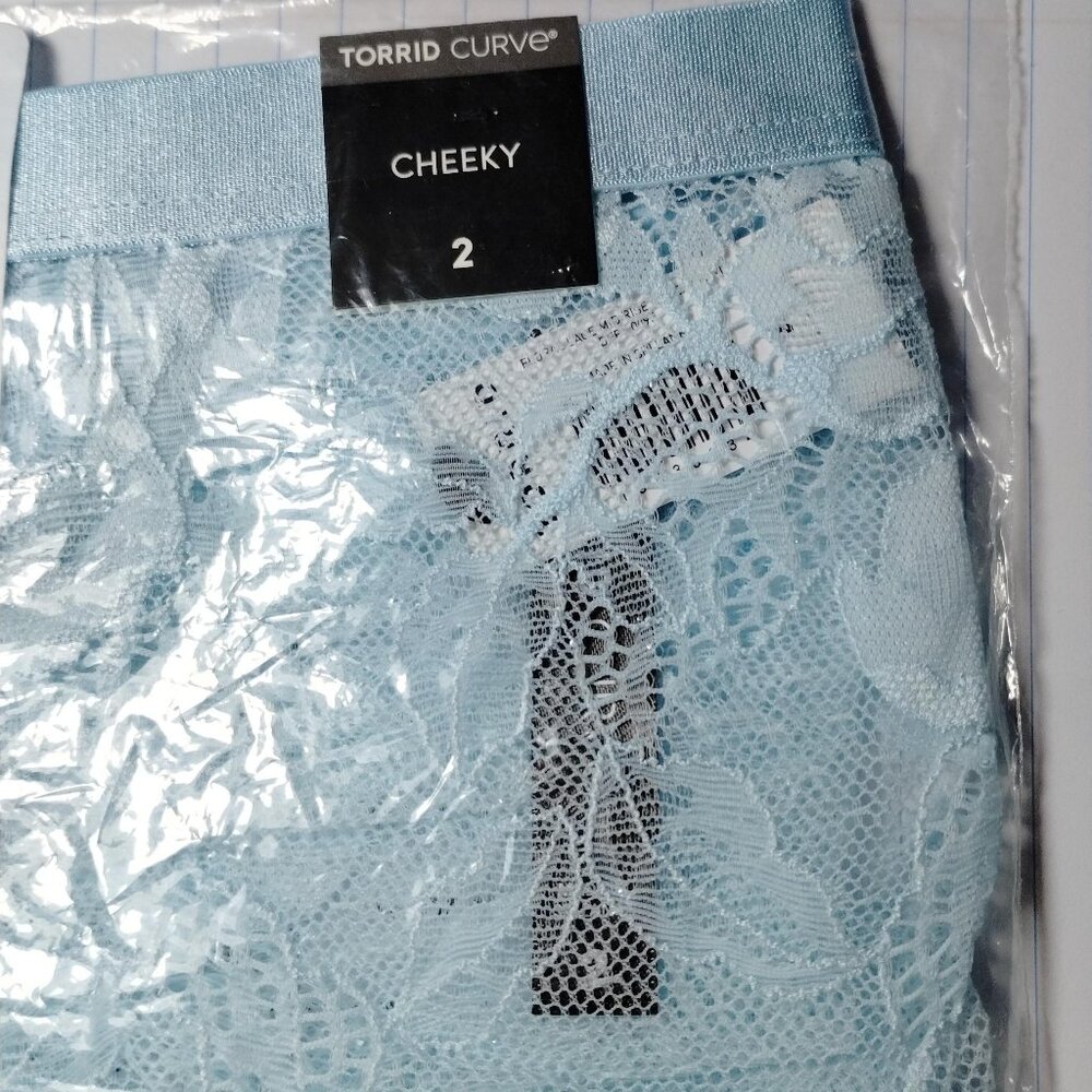 Sz 2 Torrid Curve Floral Lace Mid Rise Cheeky Mini Panty Corydalis Blue